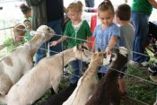 Fun Had By All at BNI Founder’s Day Picnic