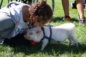 Founder's Day and Health Fair